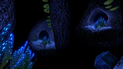 Underwater Islands Caves